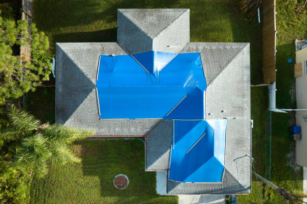 Best Gutter Installation and Repair  in Blountsville, AL