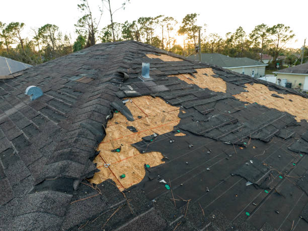 Steel Roofing in Blountsville, AL