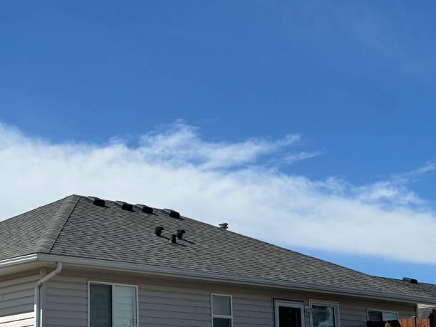 Best Roof Inspection  in Blountsville, AL